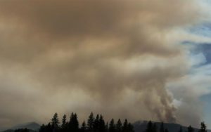 Kim Wallan Oregon State Representative - Wildfire and Smoke
